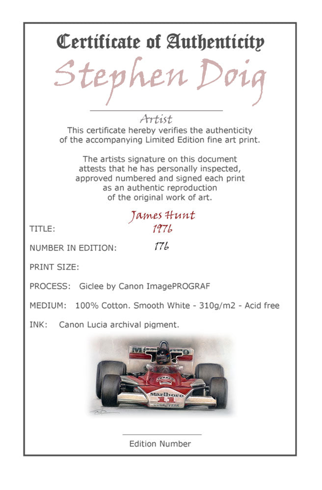 James Hunt - World Champion - 1976 - Ltd edition giclee print by Stephen Doig