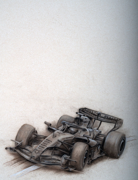 Lando Norris  Zandvoort Finale 2026  Ltd edition giclee print by Stephen Doig