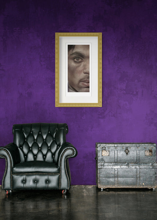 Prince -  Can You Picture This - eyecon by Stephen Doig